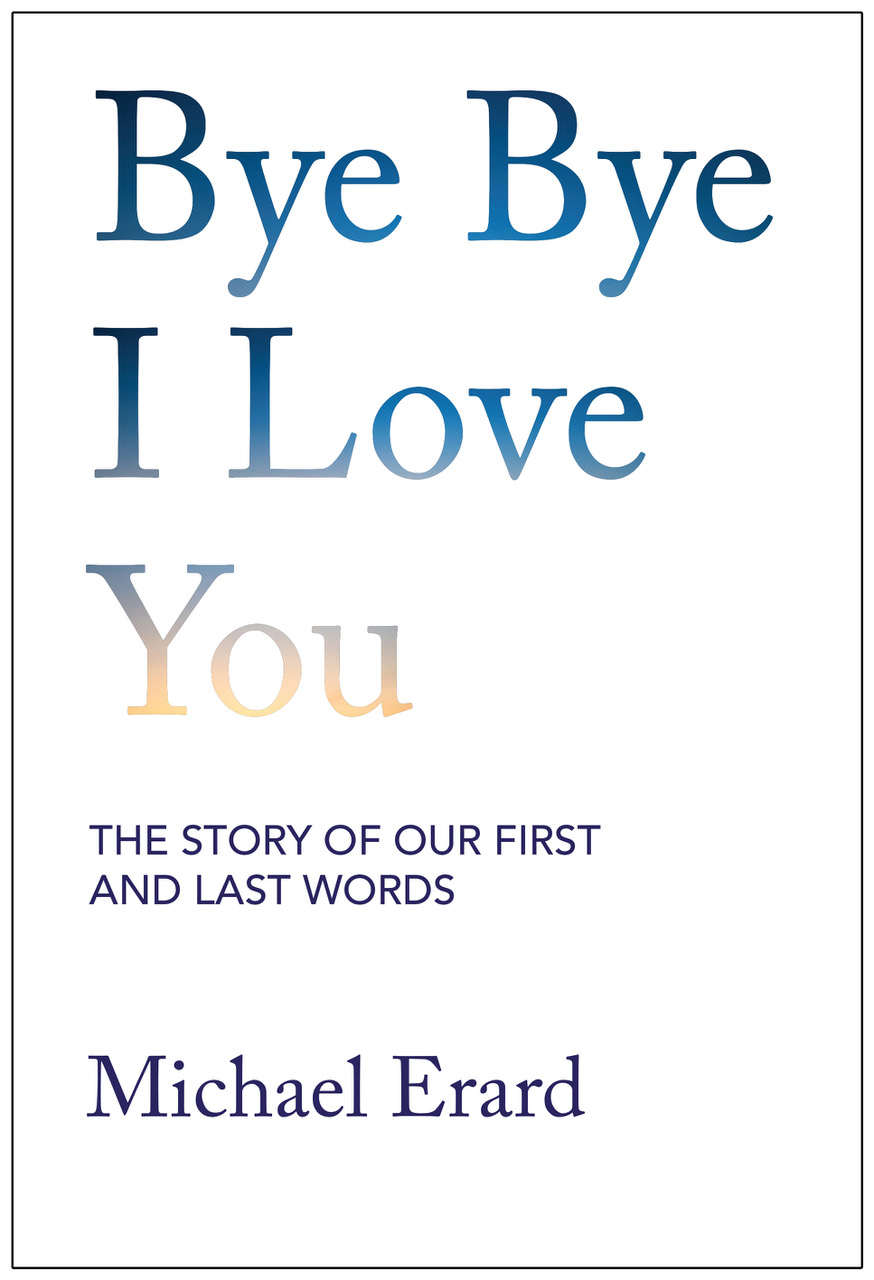 cover image for Bye Bye I Love You
